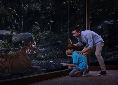 ナイトサファリ